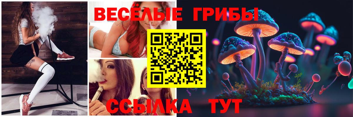 Галлюциногенные грибы Psilocybe Буйнакск